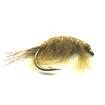 green baggie shrimp